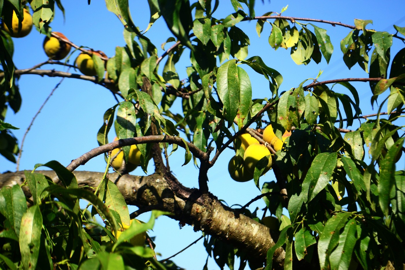 DSC_3395.JPG