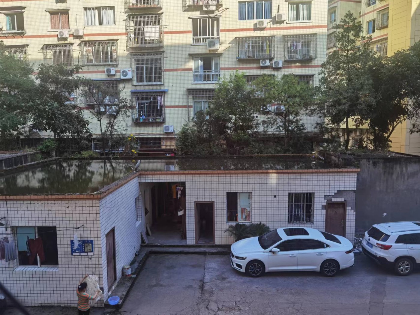 Ժڹ