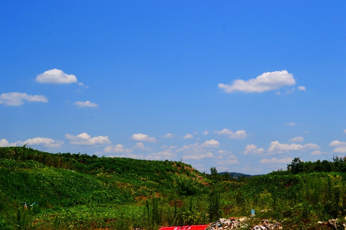 DSC_3510.JPG
