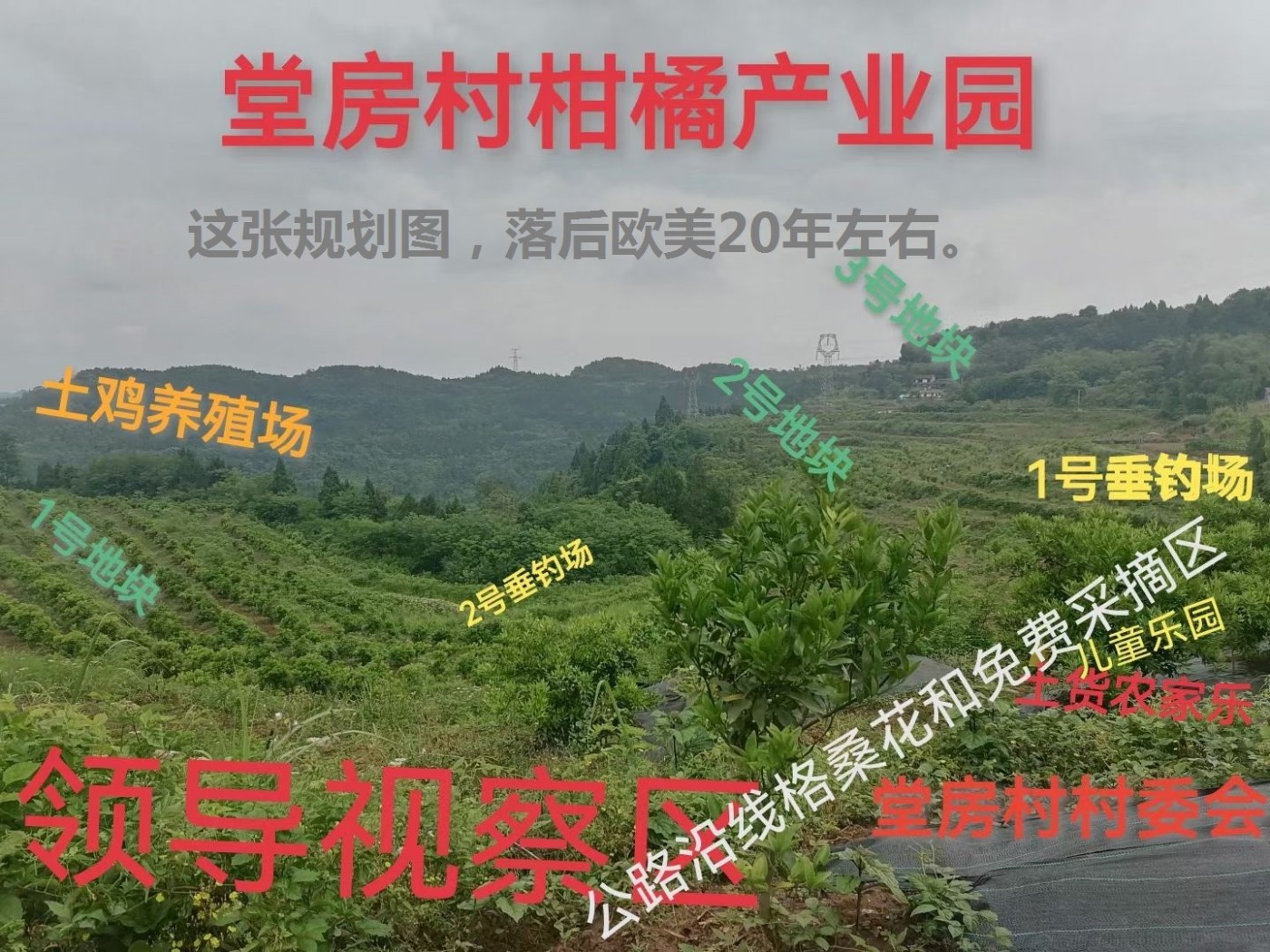 135033fc1ldsp1p1lju7u9.jpg