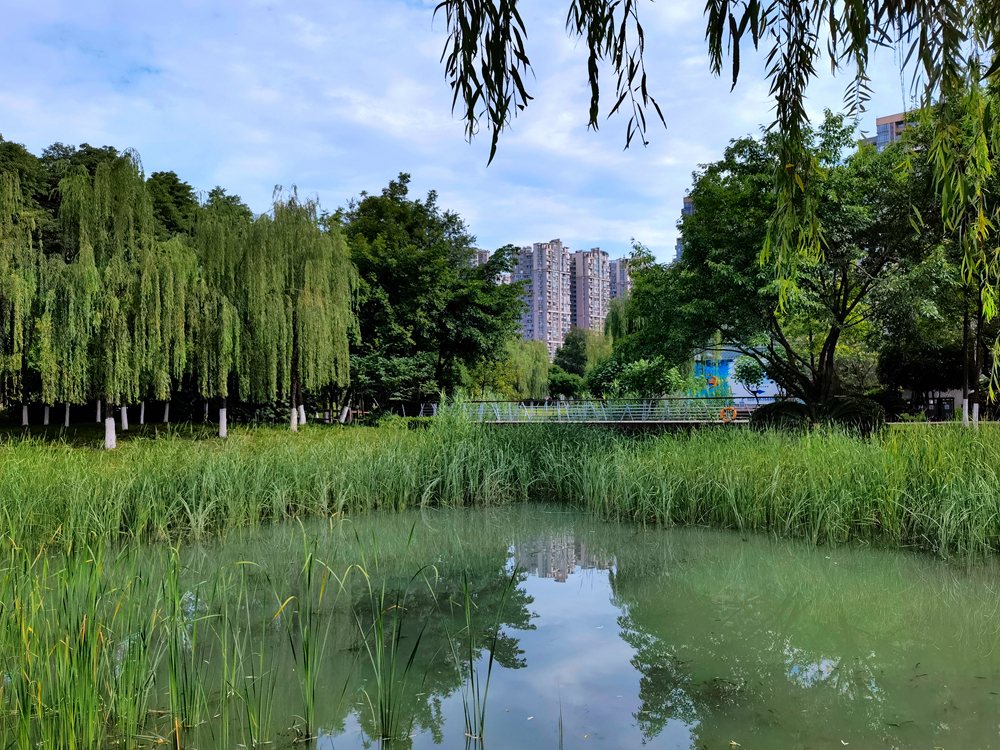 成都大源中央公園已上首頁