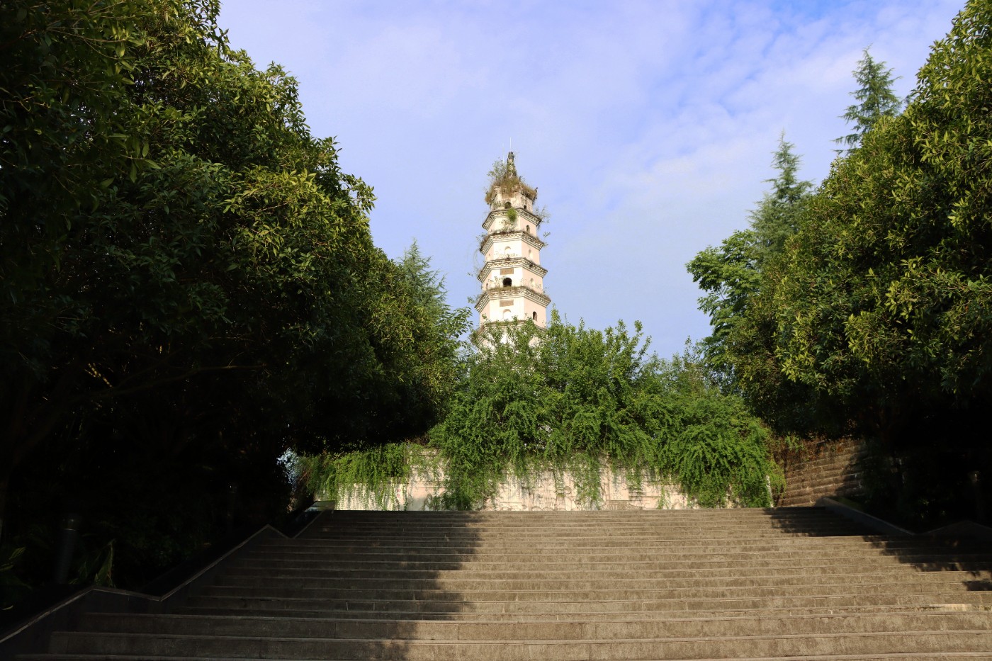 营山附近的旅游景点图片