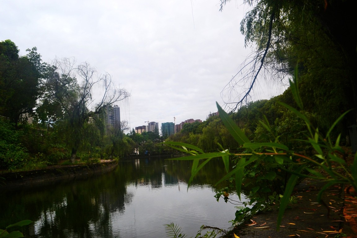 DSC_3759.JPG
