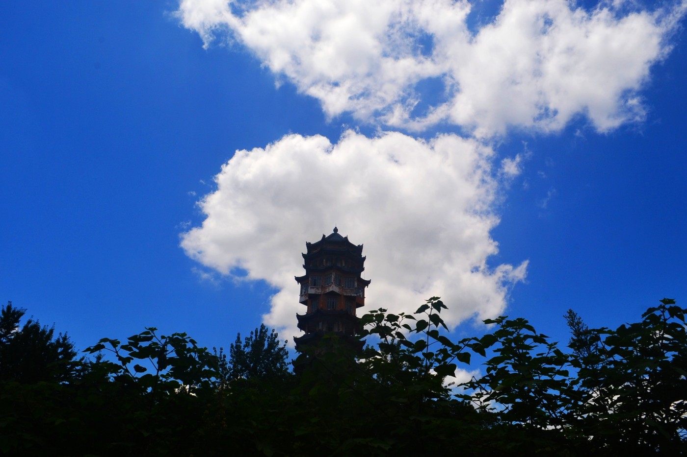 DSC_3804.JPG