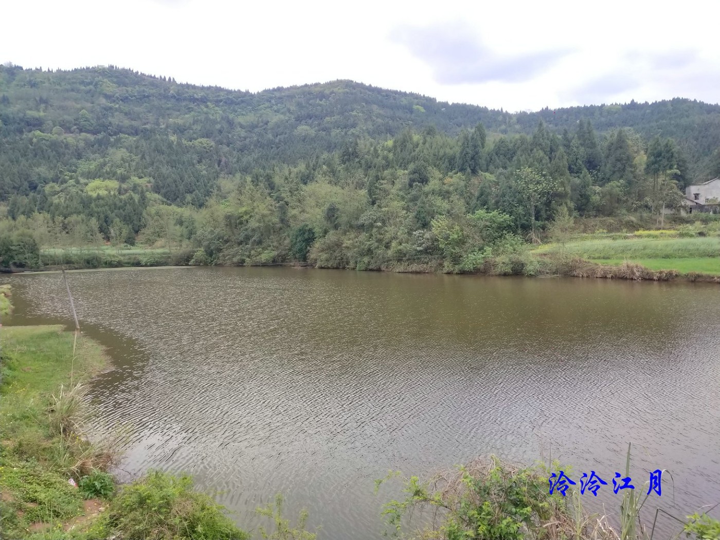 P20323-151642.jpg
