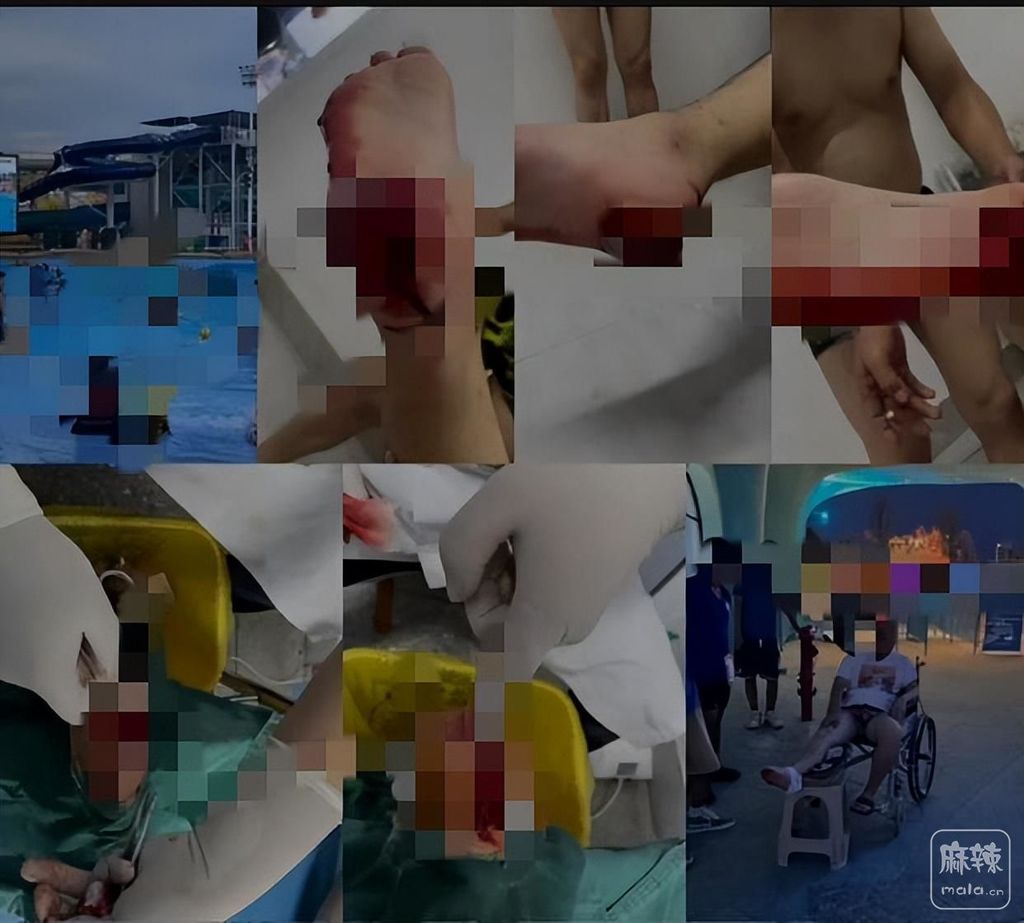 1c85c38b8b924cb8b2d6b6d2c5d1bd59~noop.image