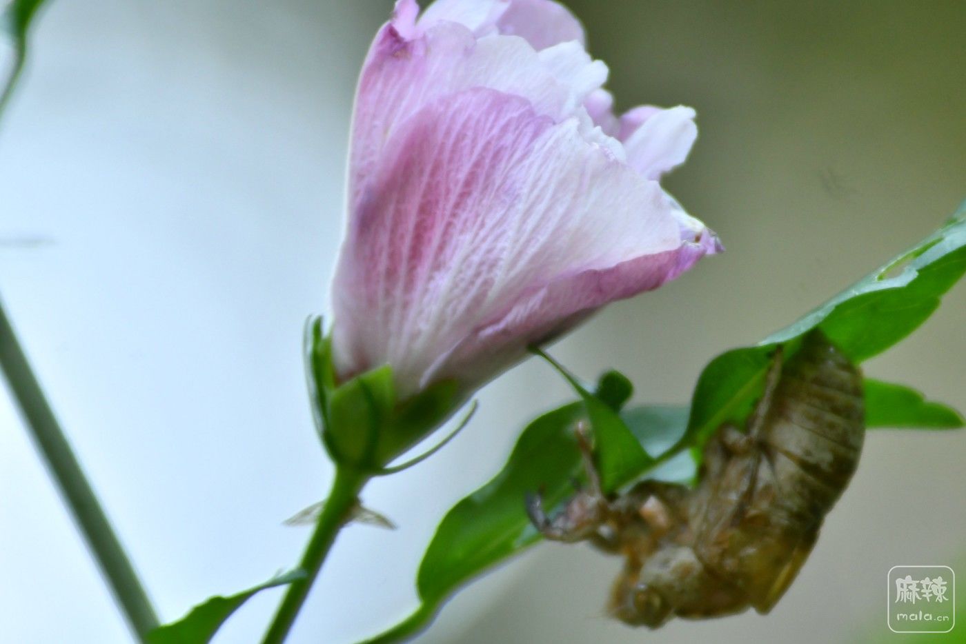 DSC_9165.JPG