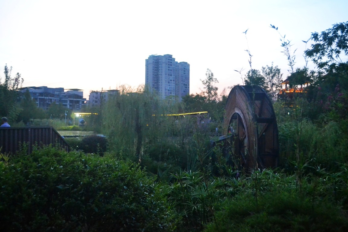 DSC_5063.JPG