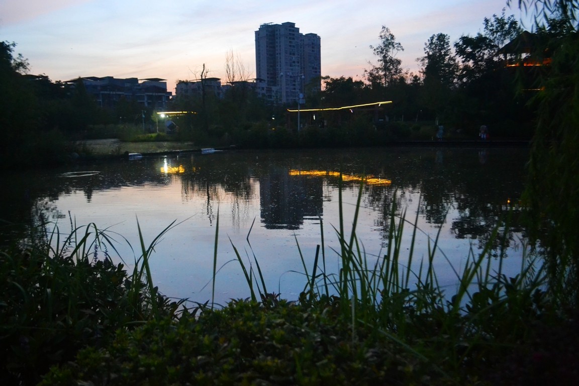 DSC_5064.JPG