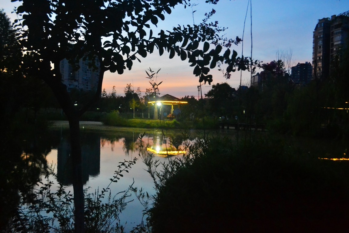 DSC_5069.JPG