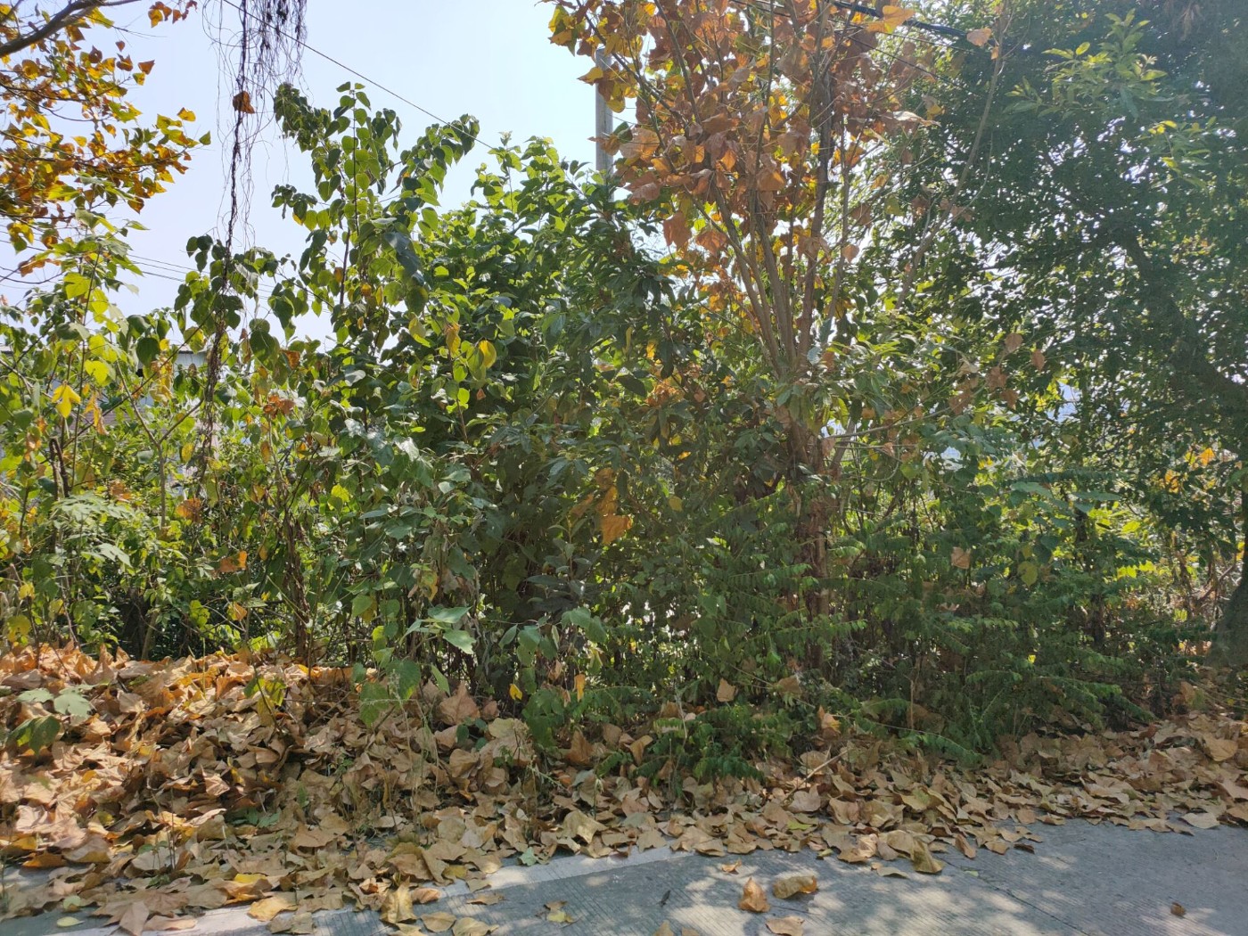 QQͼƬ20220820130813.jpg