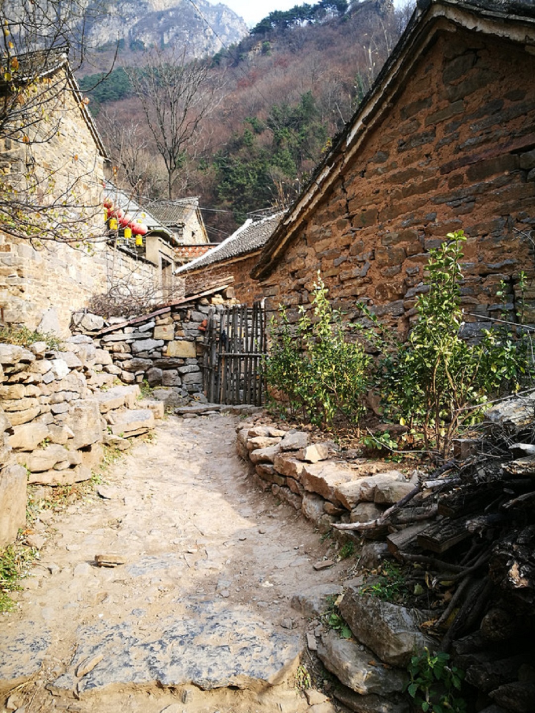 25``2.jpg
