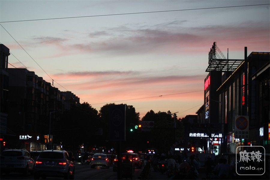 IMG_0355.JPG