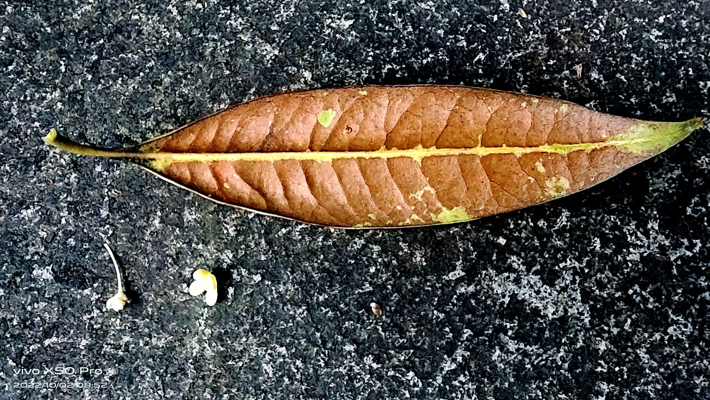 ΢ͼƬ_20221002093530.jpg