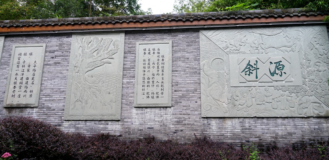 DSC08379__.jpg