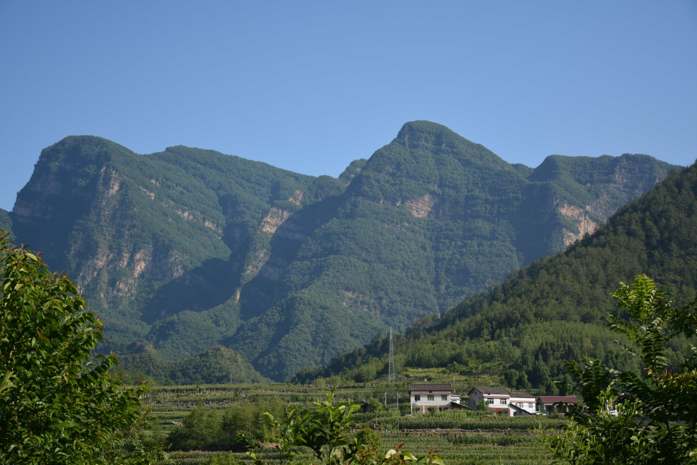 199.jpg