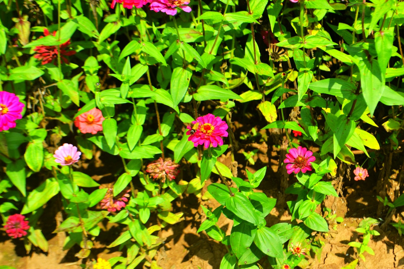 DSC_5417.JPG