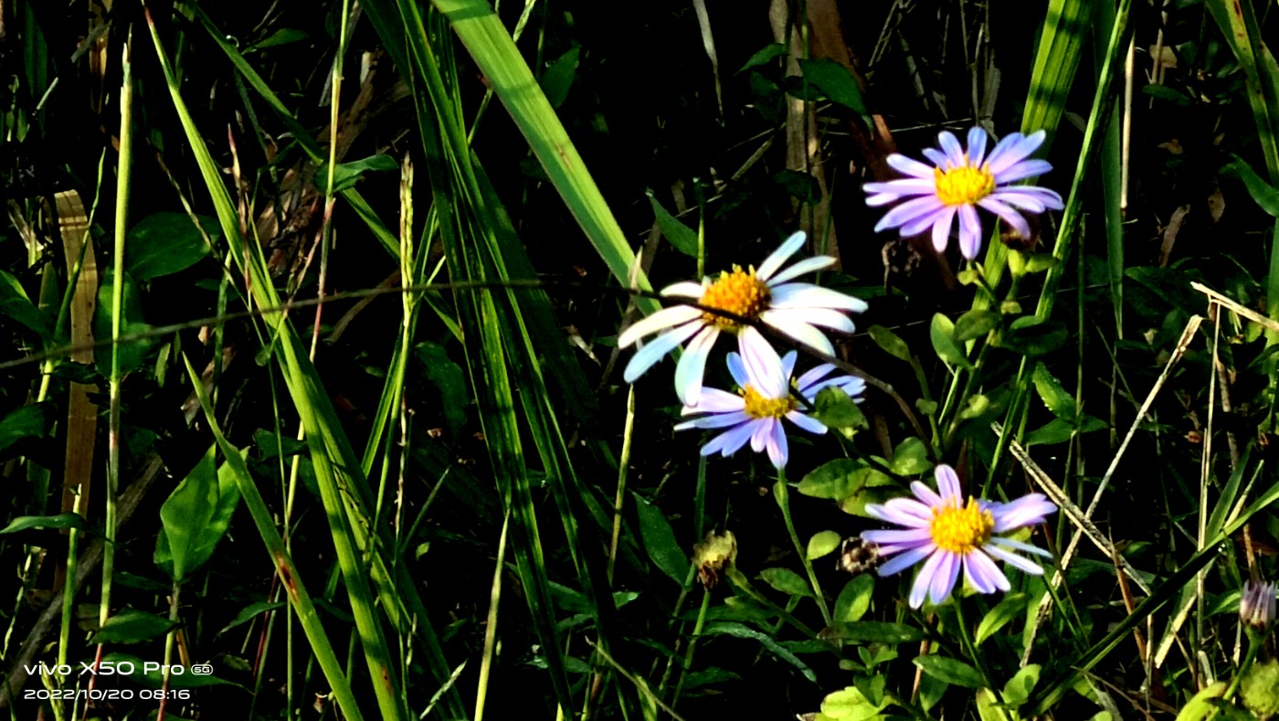 ΢ͼƬ_20221020092350.jpg