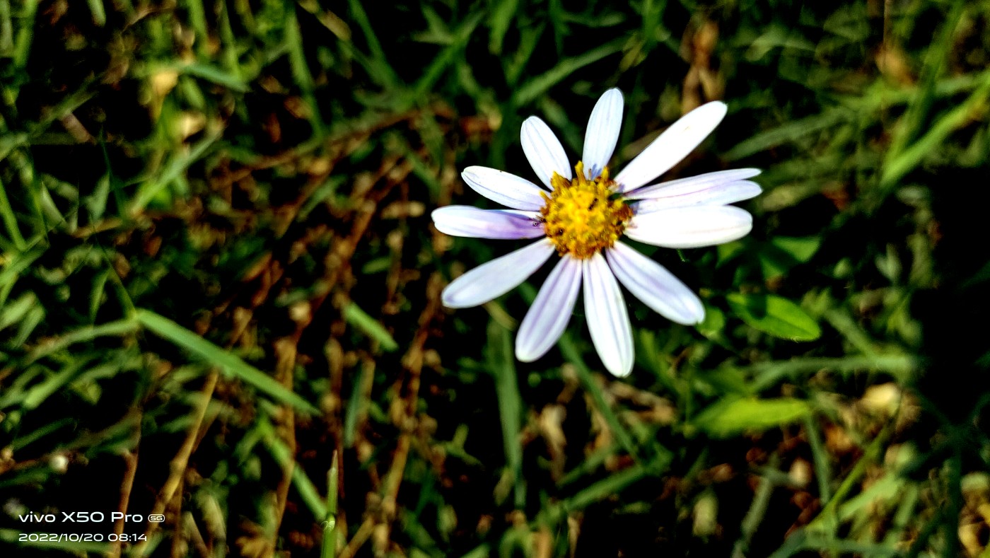 ΢ͼƬ_20221020092359.jpg