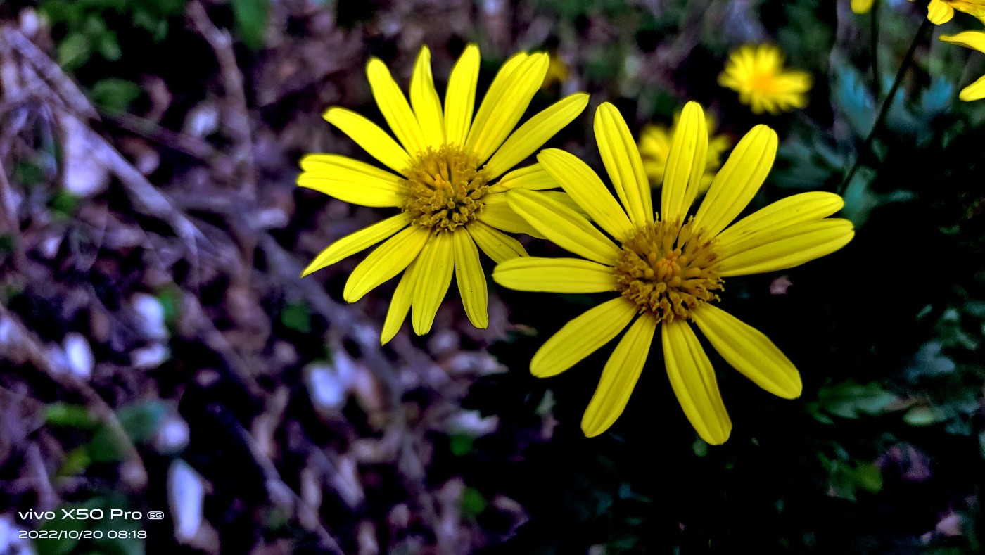 ΢ͼƬ_20221020092345.jpg