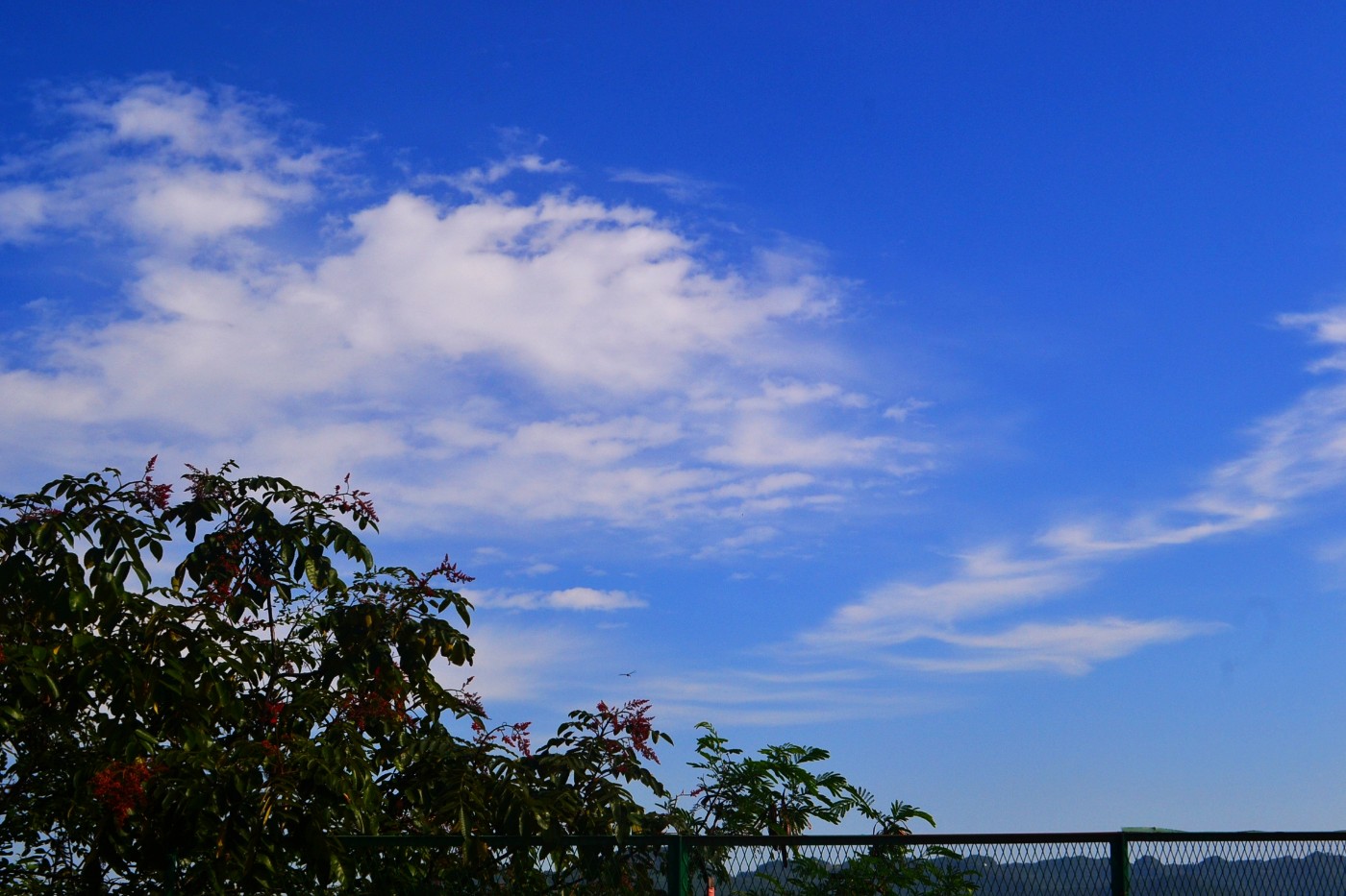 DSC_5301.JPG
