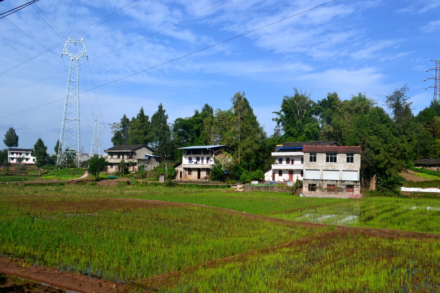 DSC_5290.JPG