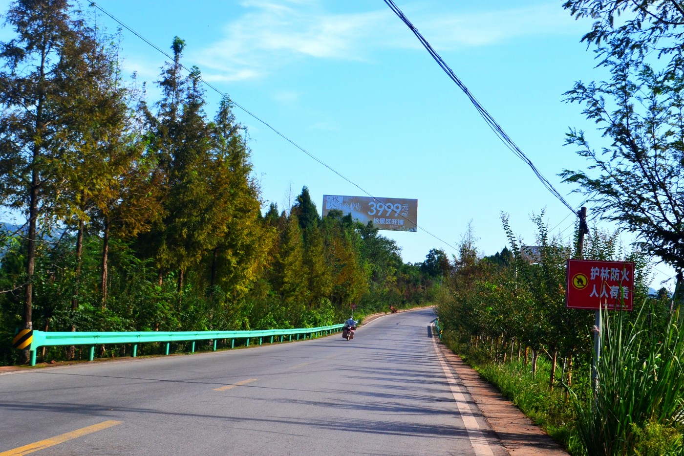 DSC_5305.JPG