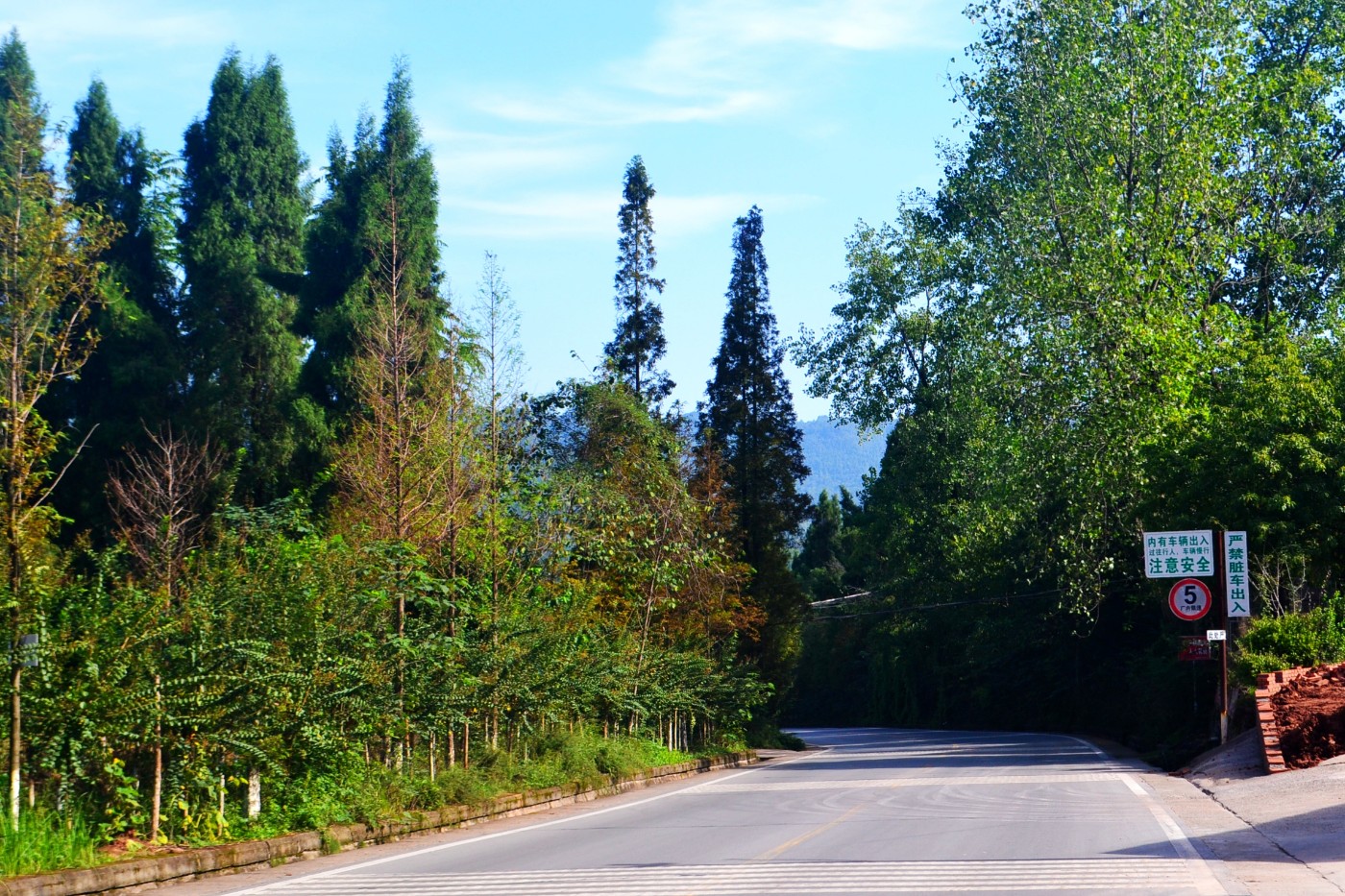 DSC_5306.JPG
