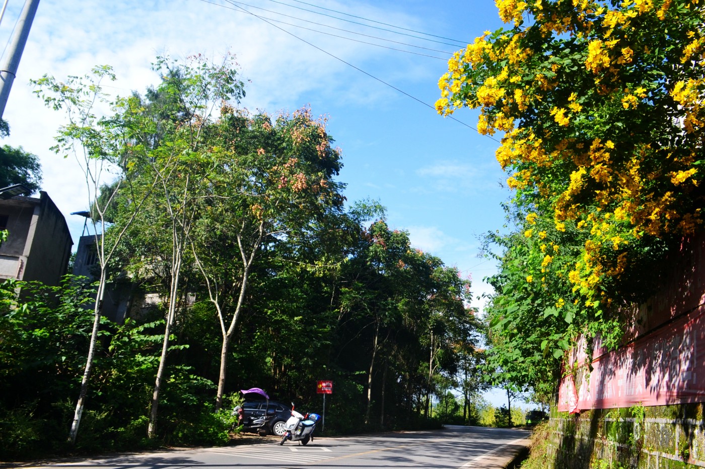 DSC_5316.JPG