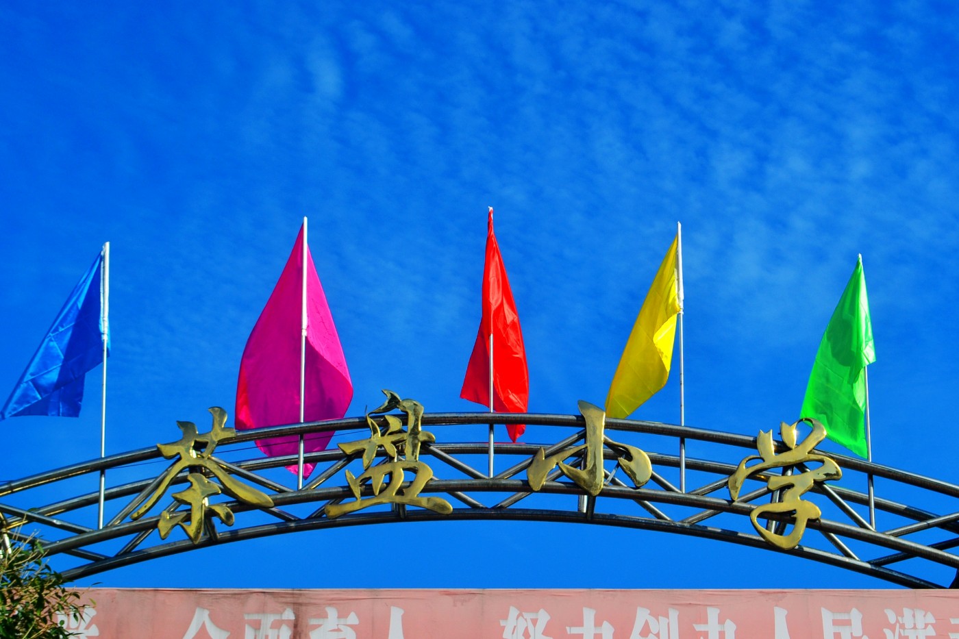 DSC_5329.JPG