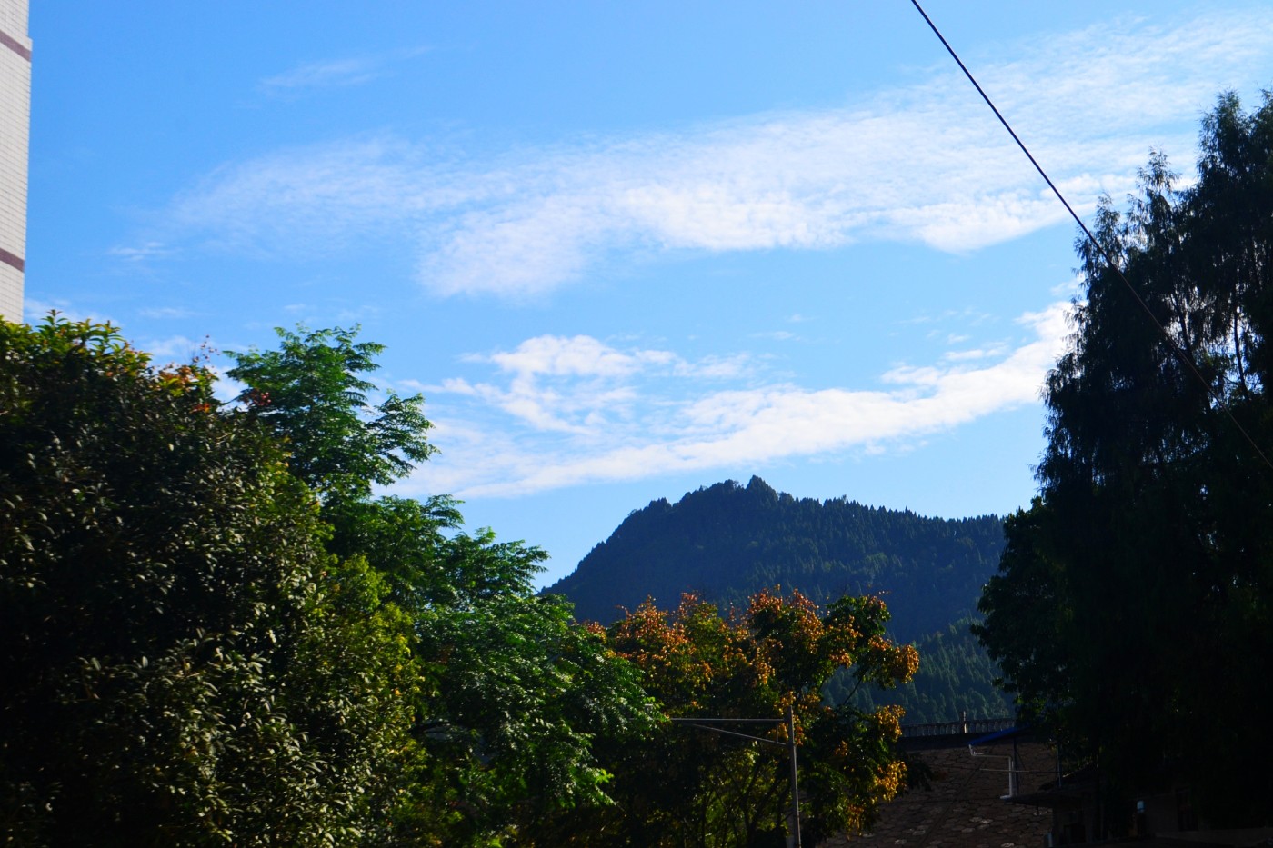 DSC_5332.JPG