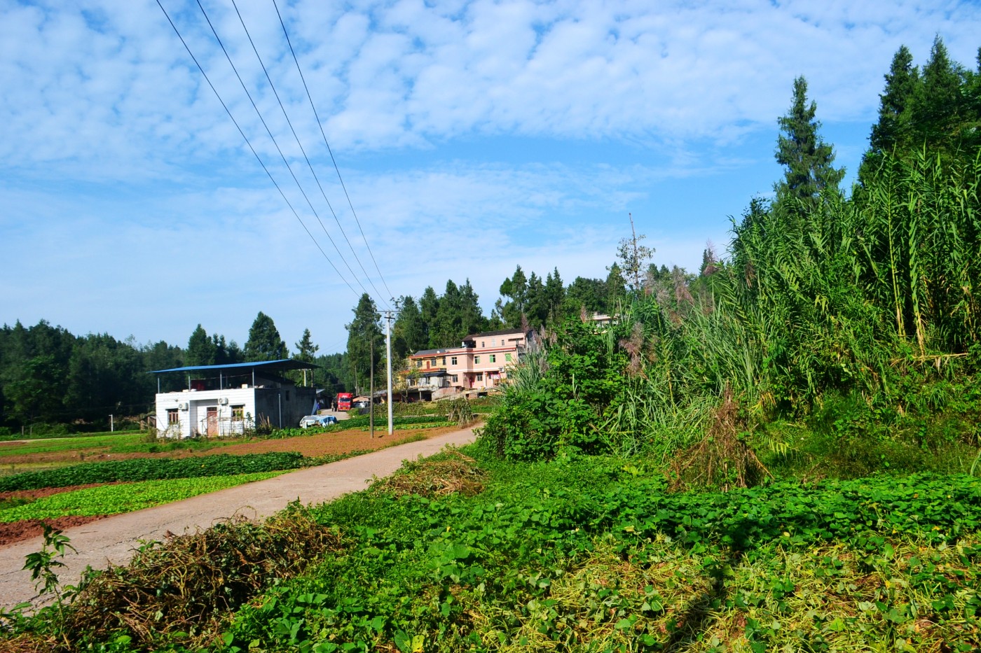 DSC_5343.JPG