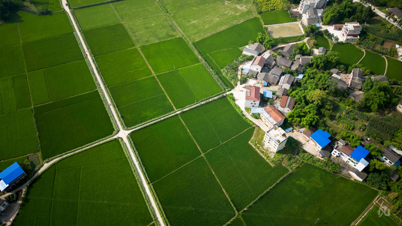 DJI_0057.JPG