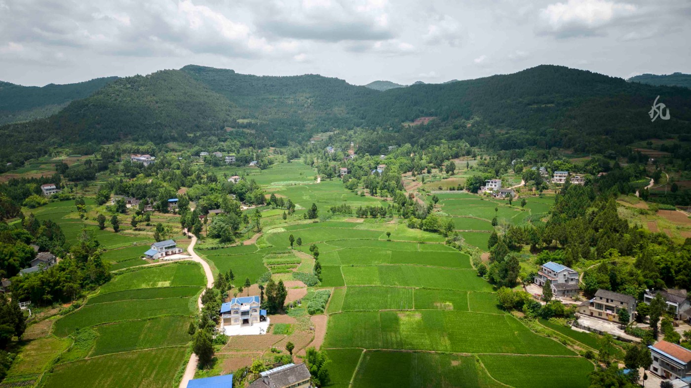 DJI_0304.jpg