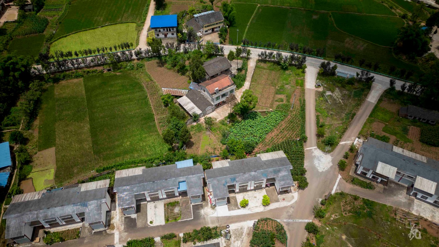DJI_0302.jpg