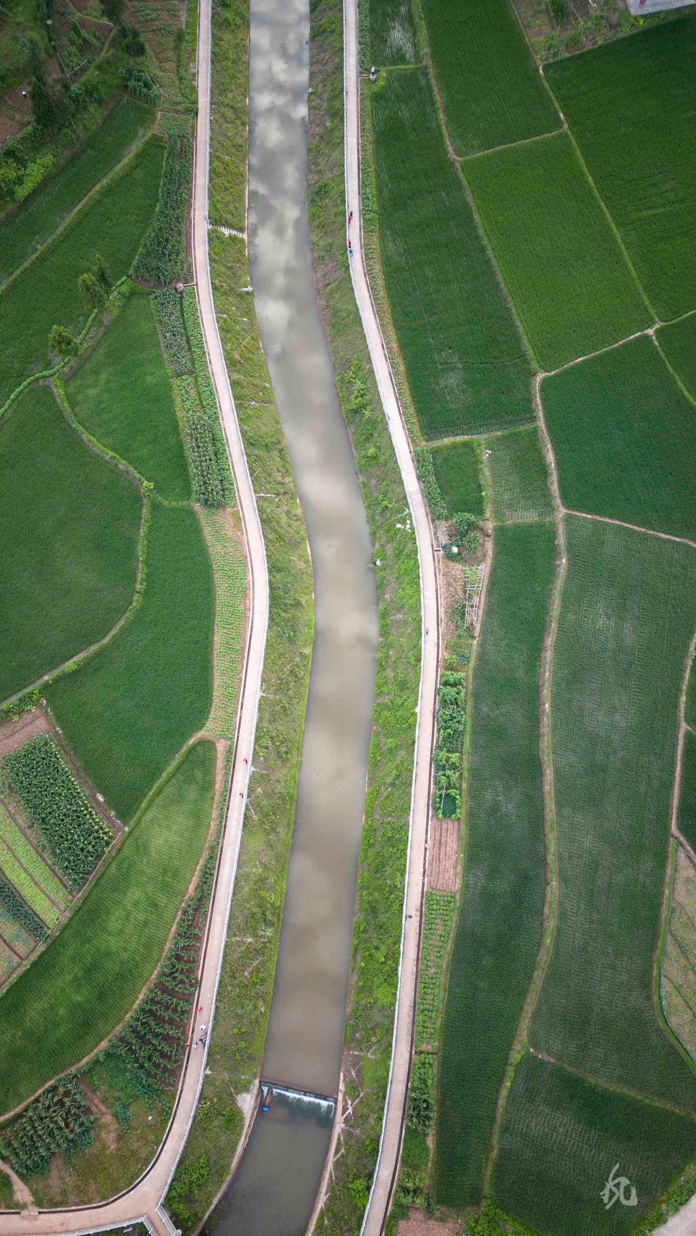 DJI_0321.jpg