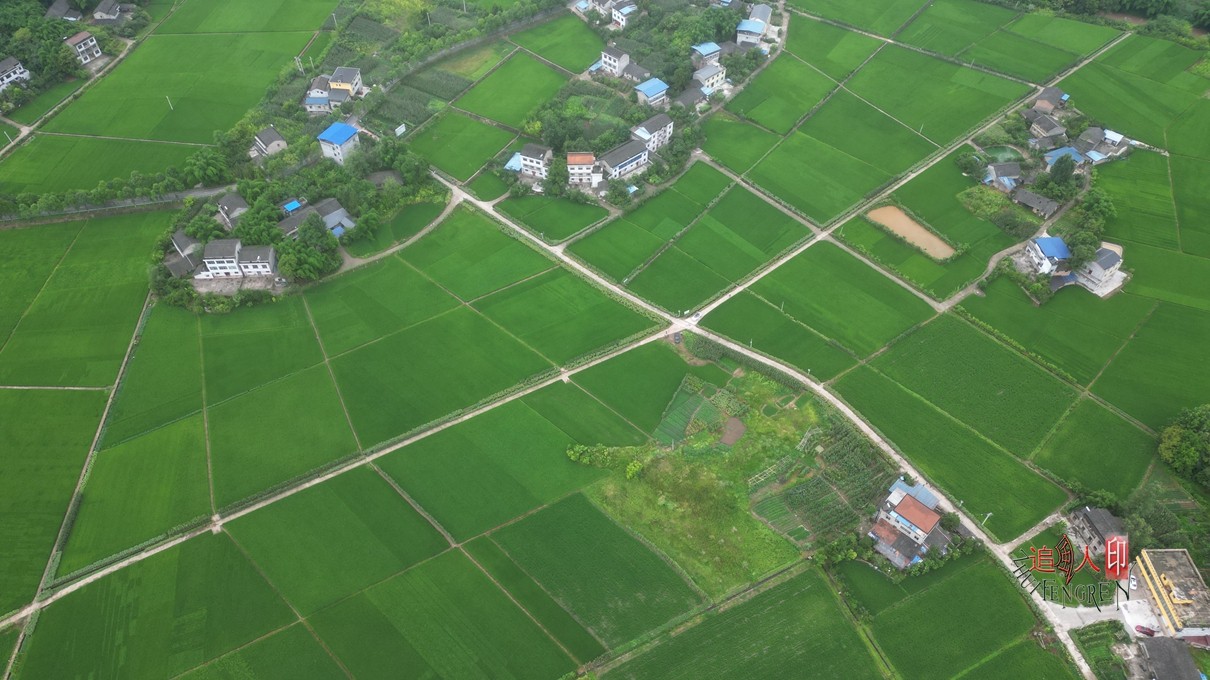 DJI_0208.jpg
