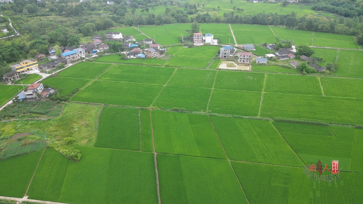 DJI_0212.jpg