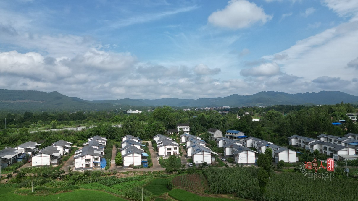 DJI_0237.jpg