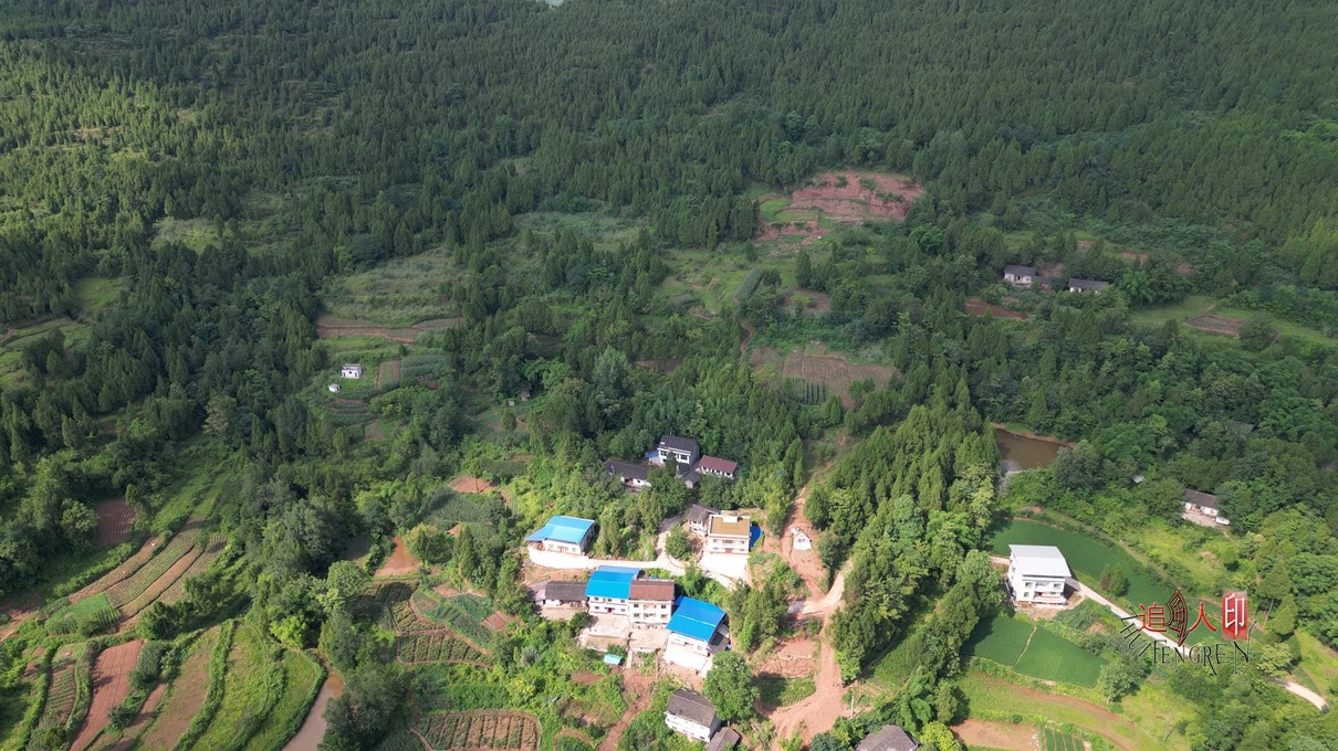 DJI_0301.jpg