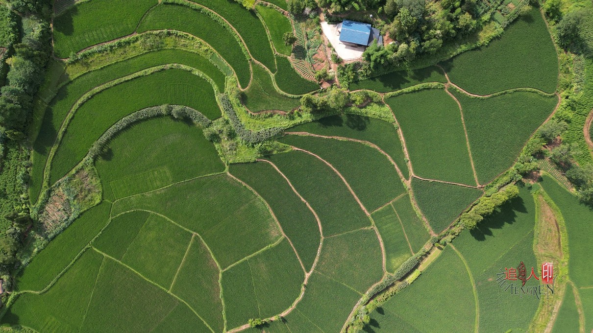 DJI_0302.jpg