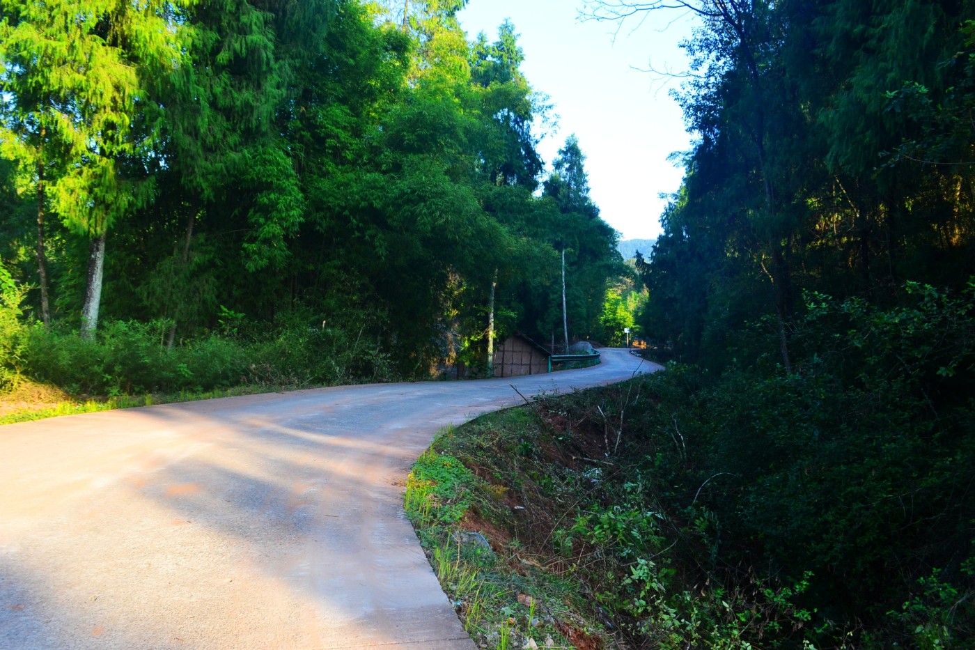 DSC_5572.JPG