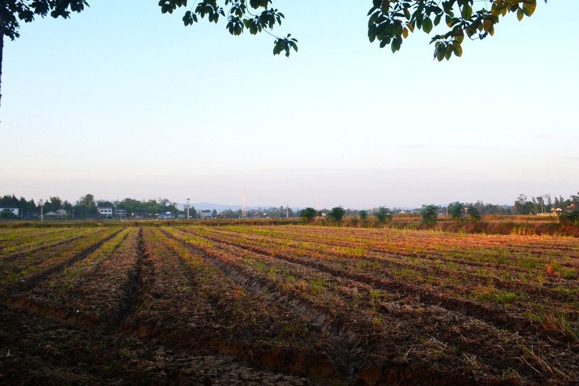DSC_5633.JPG