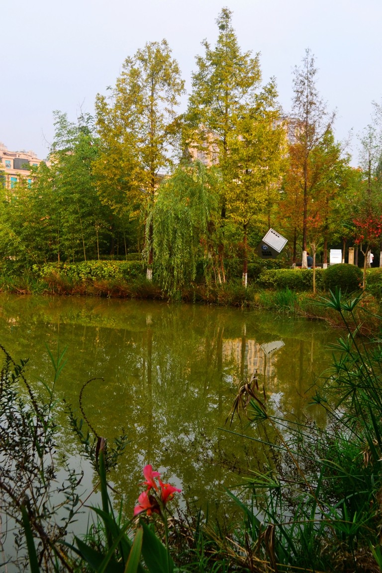 DSC_5820.JPG