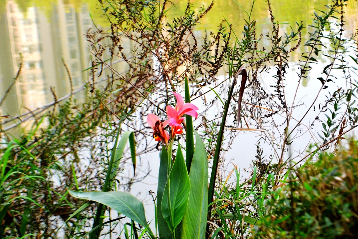 DSC_5824.JPG