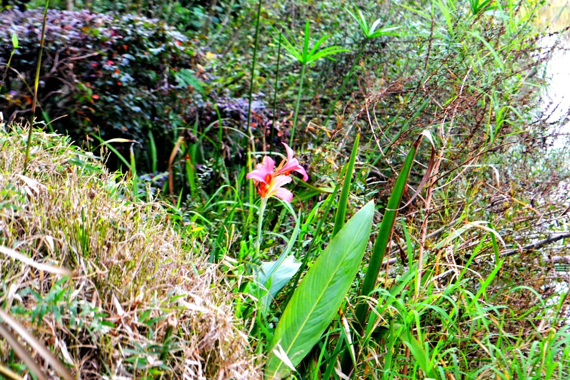 DSC_5826.JPG