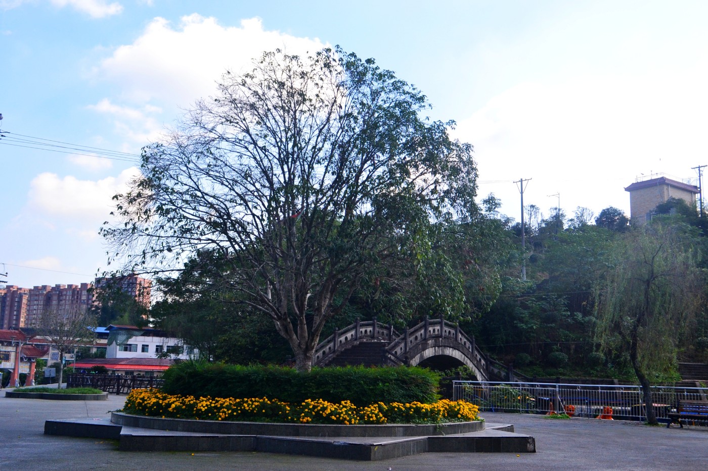DSC_5928.JPG