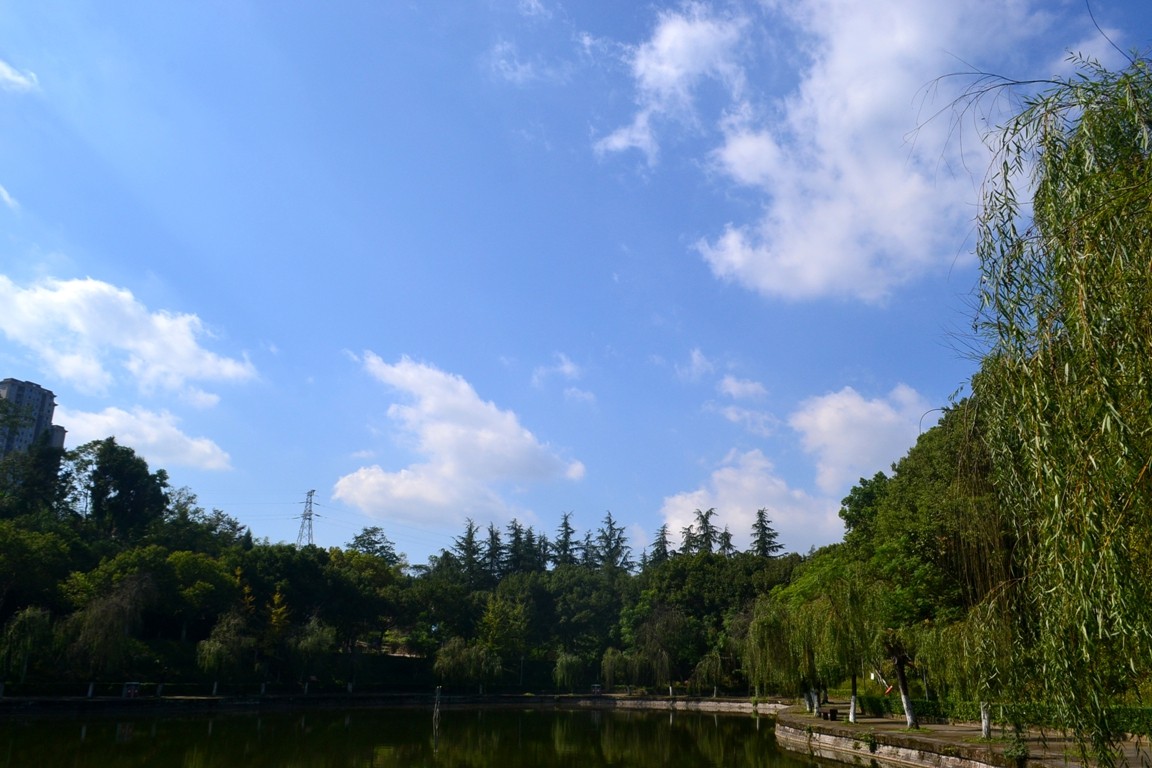 DSC_5957.JPG