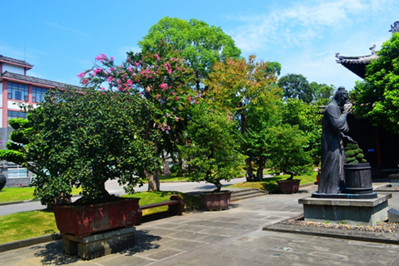 DSC_4563.JPG