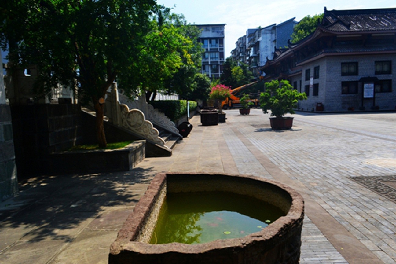 DSC_4605.JPG